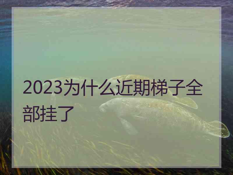 2023为什么近期梯子全部挂了