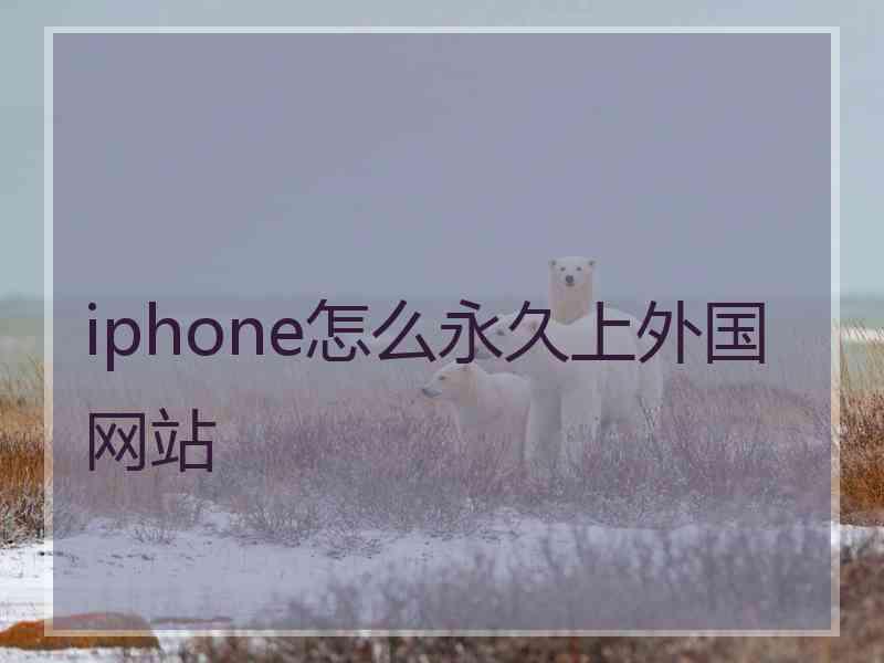 iphone怎么永久上外国网站