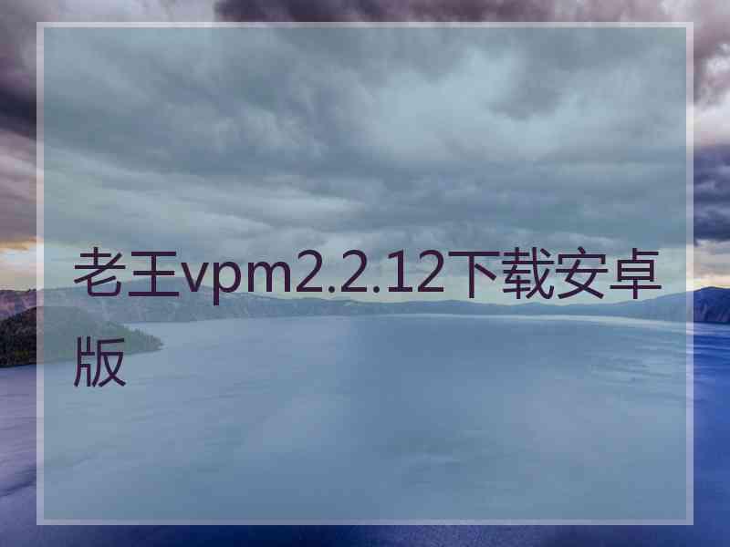 老王vpm2.2.12下载安卓版