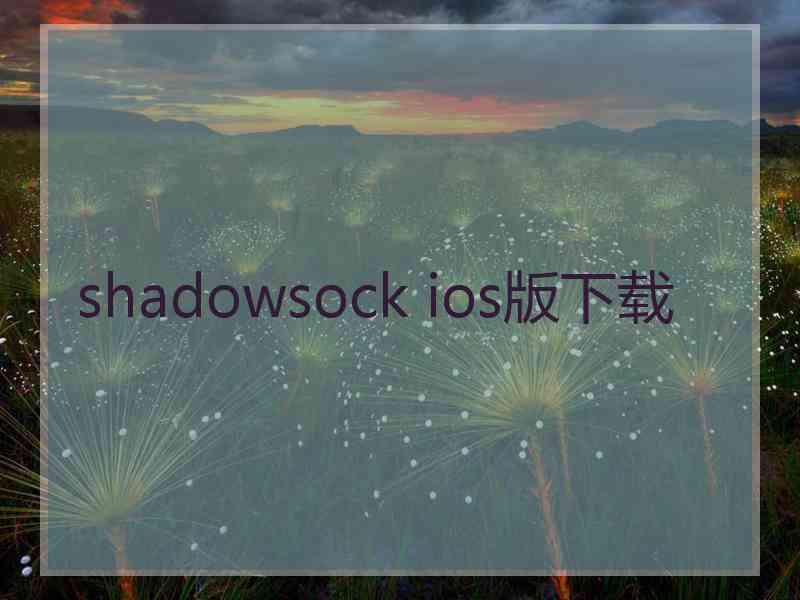 shadowsock ios版下载