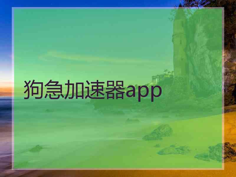 狗急加速器app