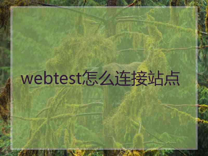 webtest怎么连接站点