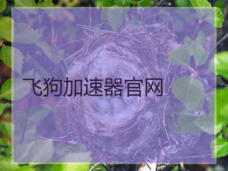 飞狗加速器官网