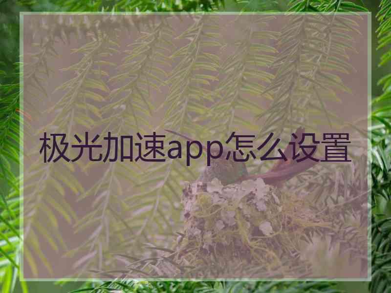 极光加速app怎么设置