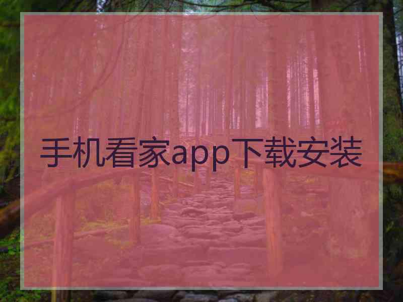 手机看家app下载安装