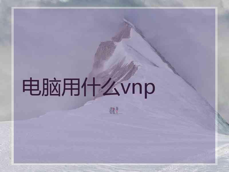 电脑用什么vnp