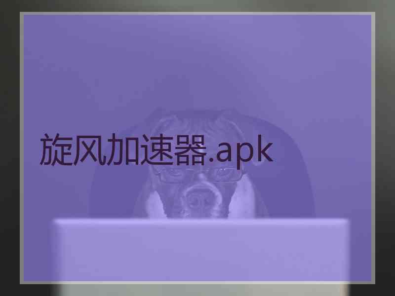 旋风加速器.apk