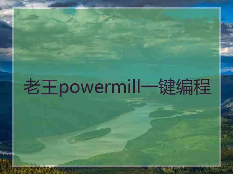 老王powermill一键编程