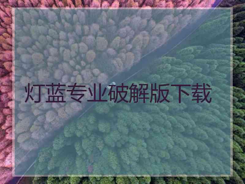 灯蓝专业破解版下载