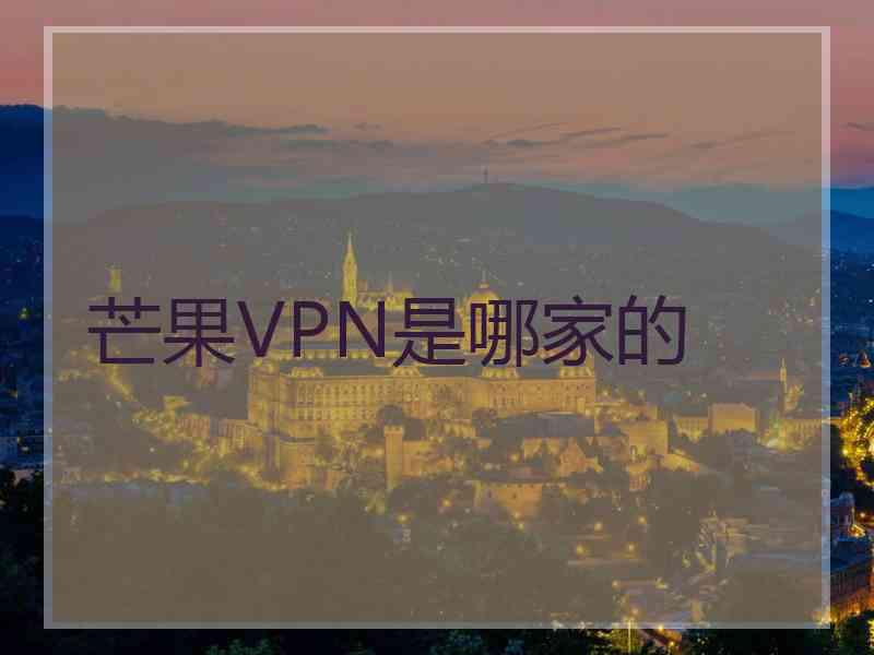 芒果VPN是哪家的