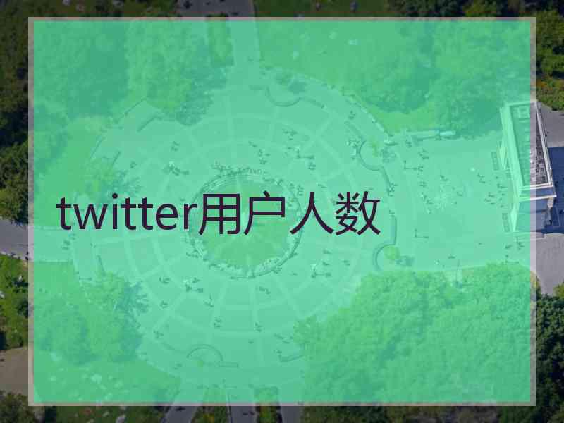 twitter用户人数