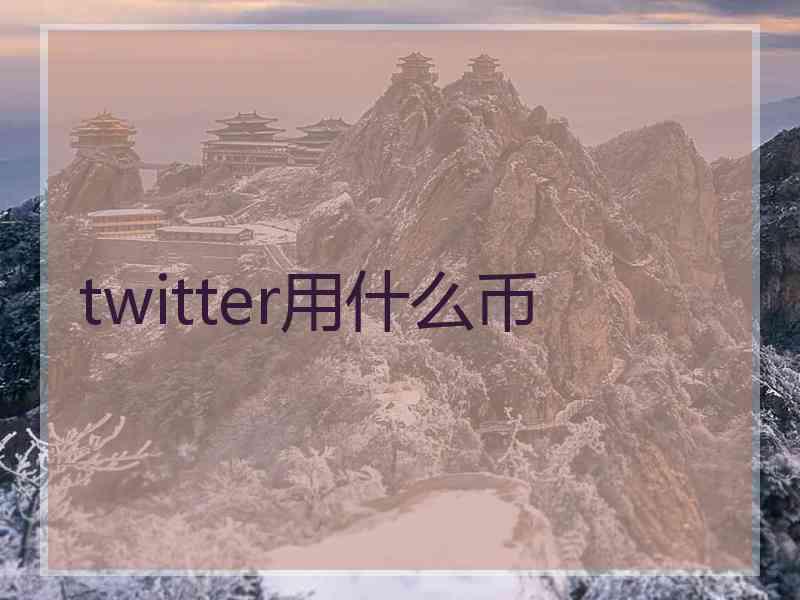 twitter用什么币