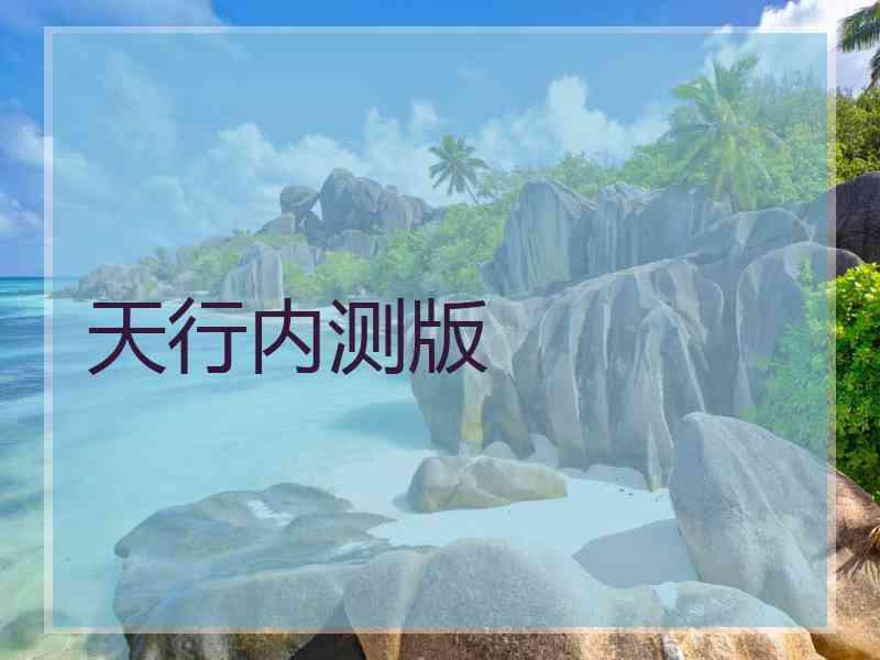 天行内测版