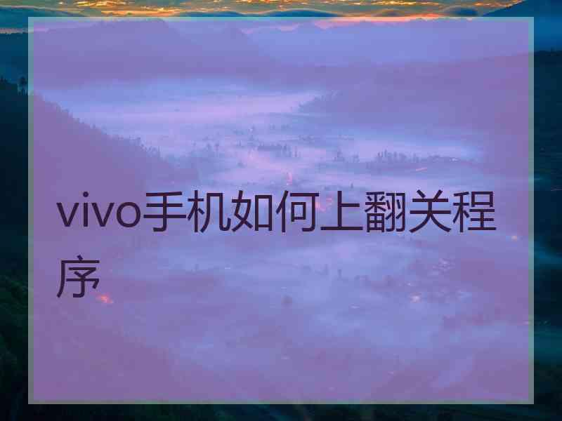 vivo手机如何上翻关程序