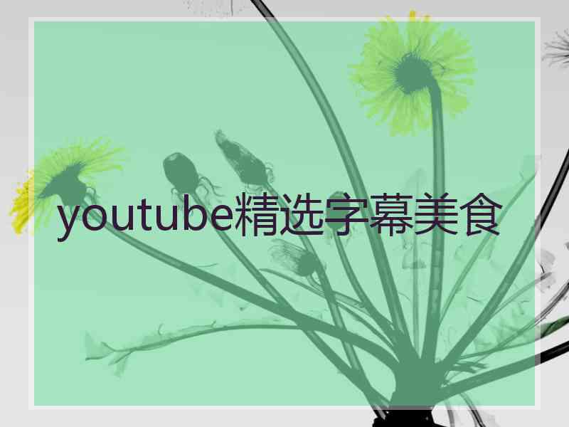 youtube精选字幕美食