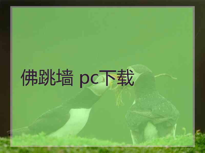 佛跳墙 pc下载