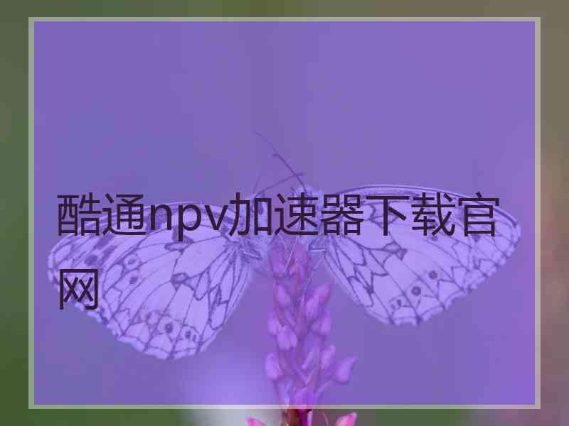 酷通npv加速器下载官网