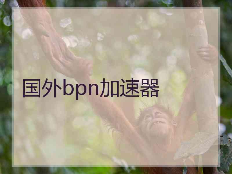 国外bpn加速器