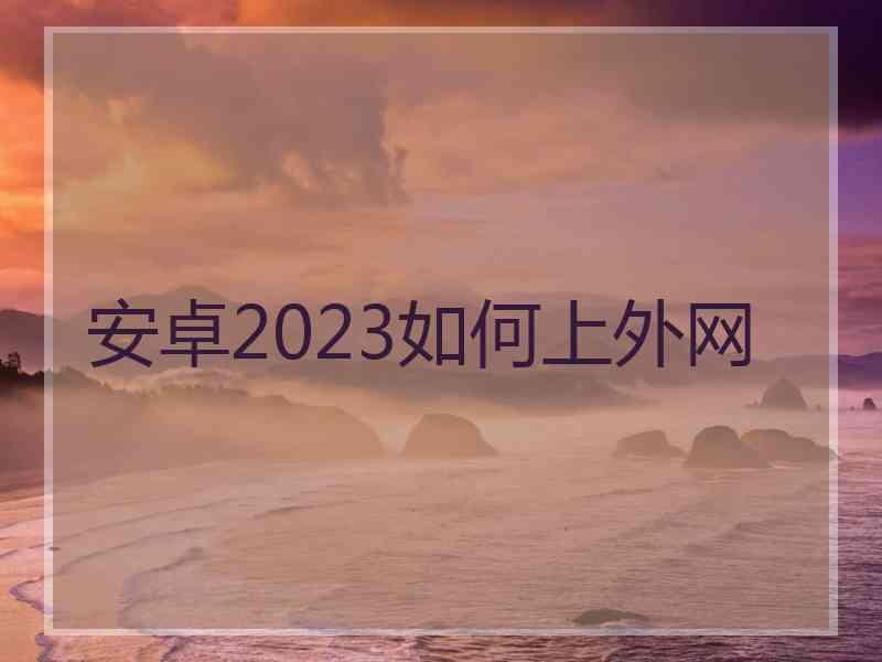 安卓2023如何上外网