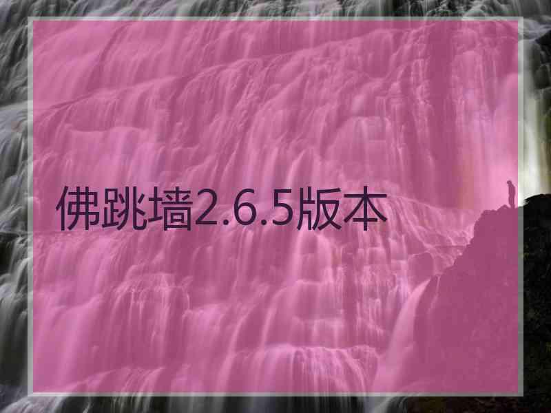 佛跳墙2.6.5版本