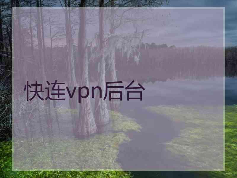 快连vpn后台