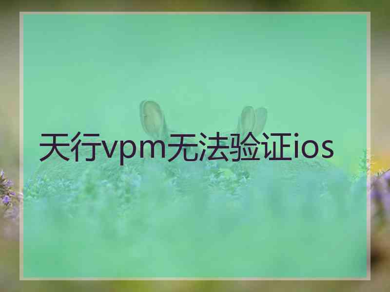 天行vpm无法验证ios