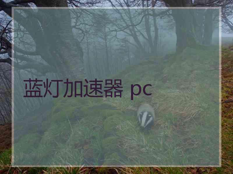 蓝灯加速器 pc