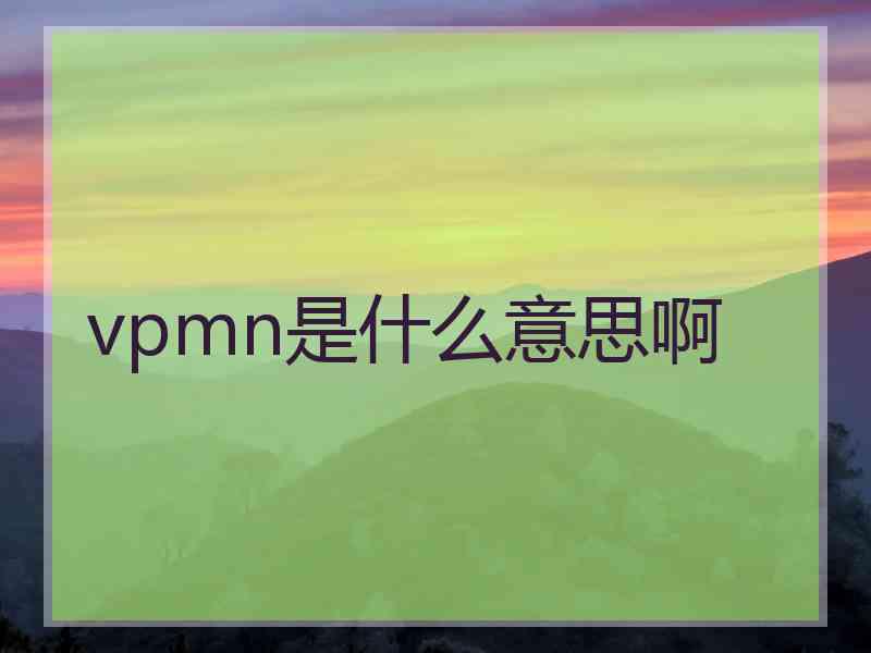 vpmn是什么意思啊