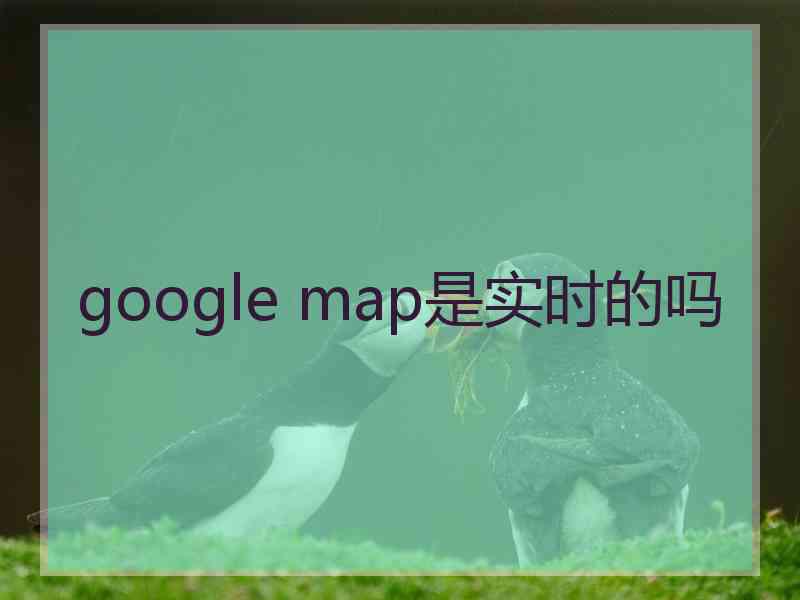 google map是实时的吗