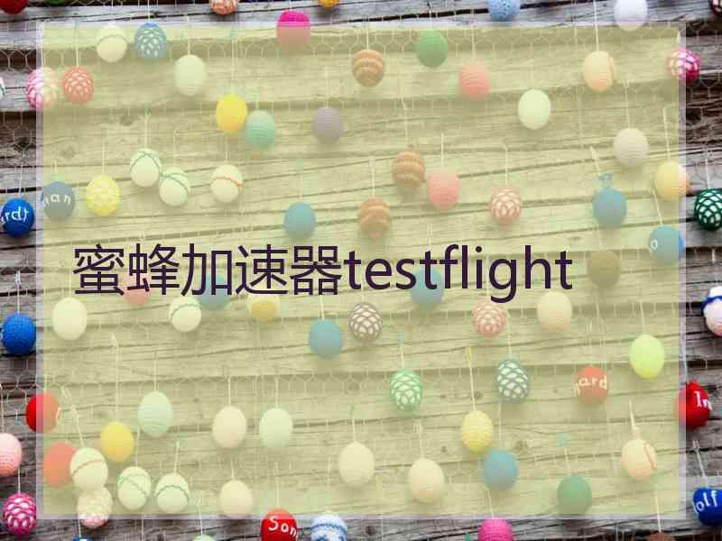 蜜蜂加速器testflight