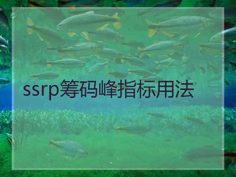 ssrp筹码峰指标用法