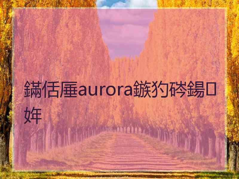 鏋佸厜aurora鏃犳硶鍚姩