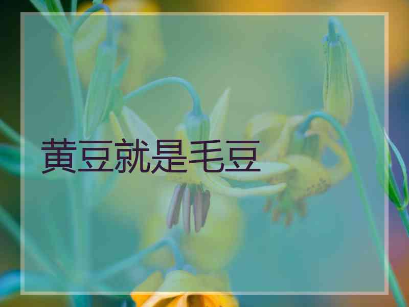 黄豆就是毛豆