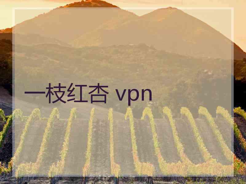 一枝红杏 vpn