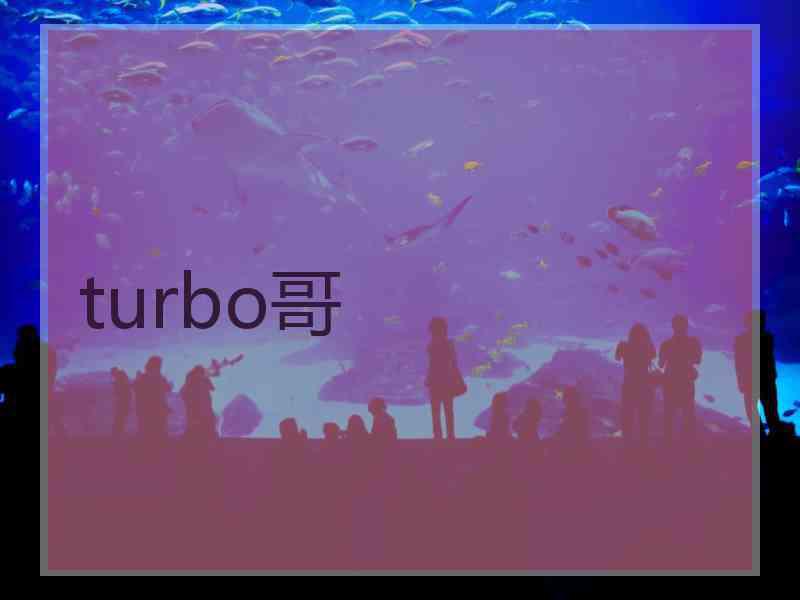 turbo哥