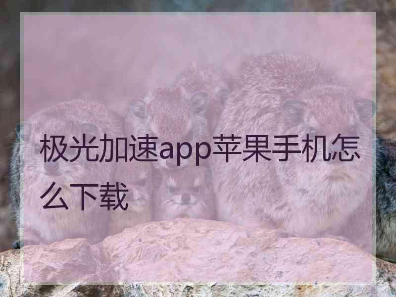 极光加速app苹果手机怎么下载