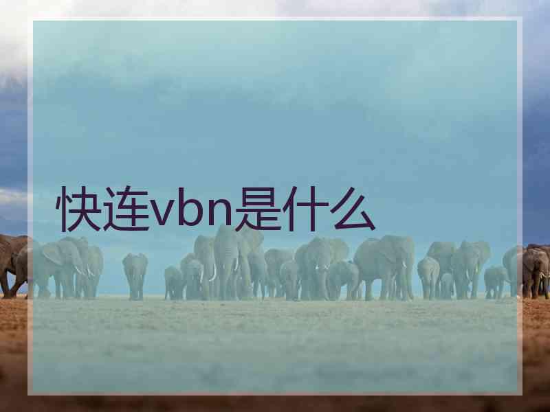 快连vbn是什么