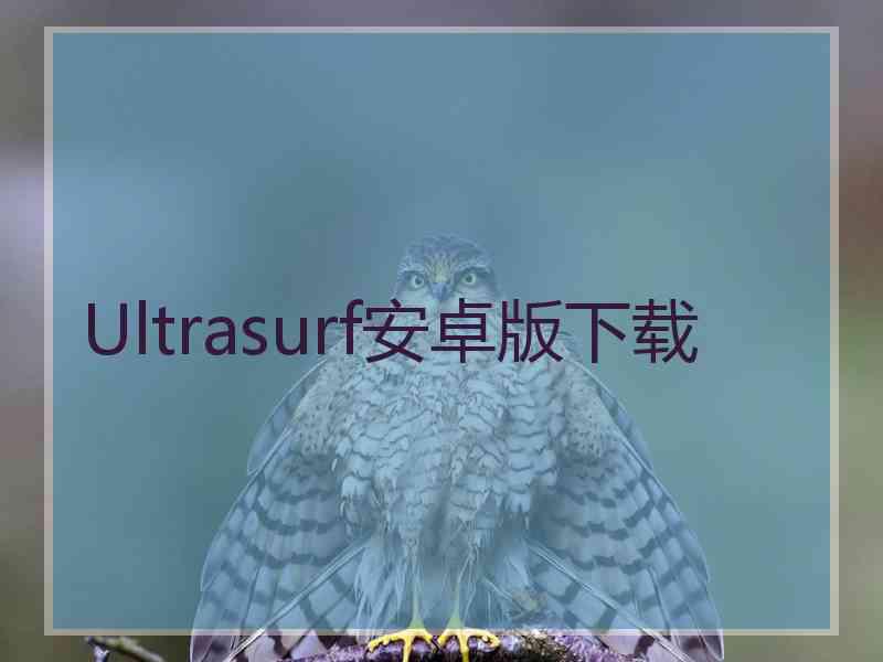 Ultrasurf安卓版下载