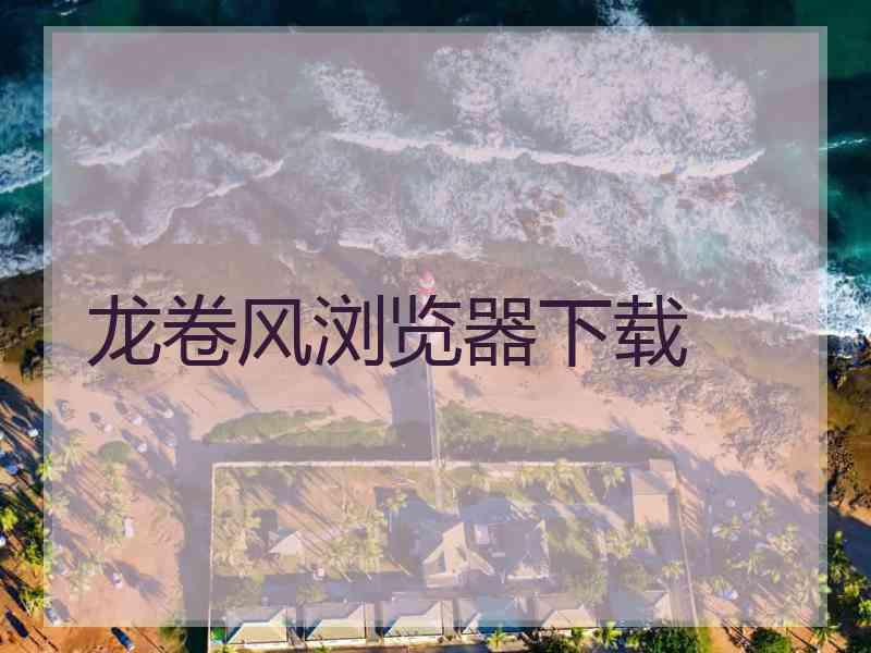 龙卷风浏览器下载