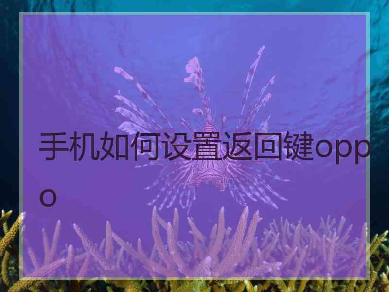 手机如何设置返回键oppo