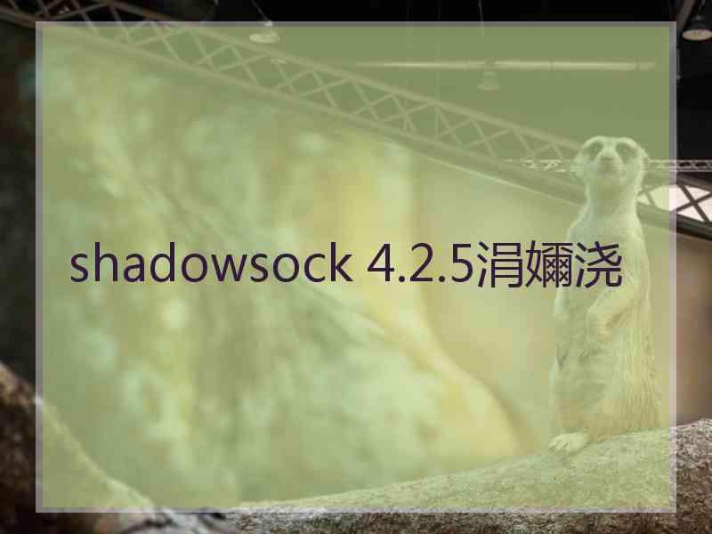 shadowsock 4.2.5涓嬭浇