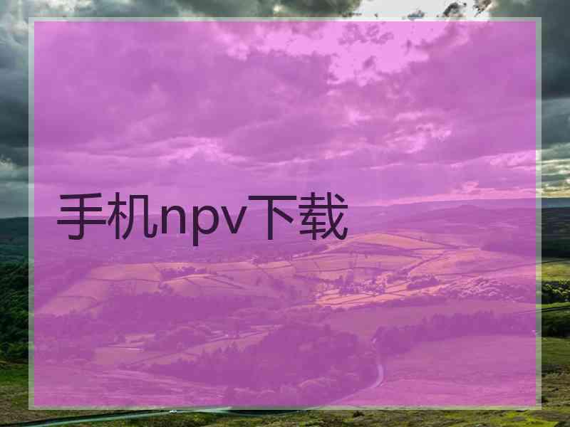 手机npv下载