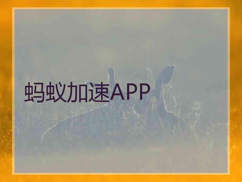 蚂蚁加速APP