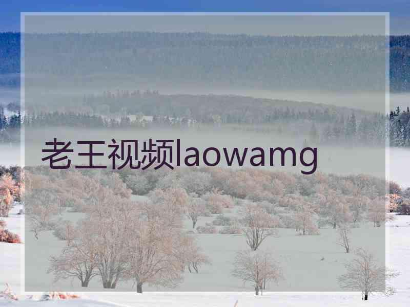 老王视频laowamg