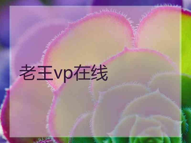 老王vp在线