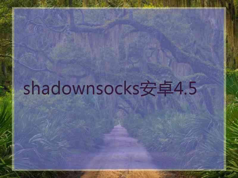 shadownsocks安卓4.5