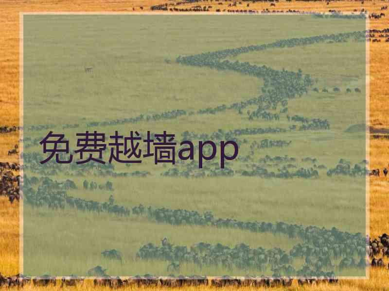 免费越墙app