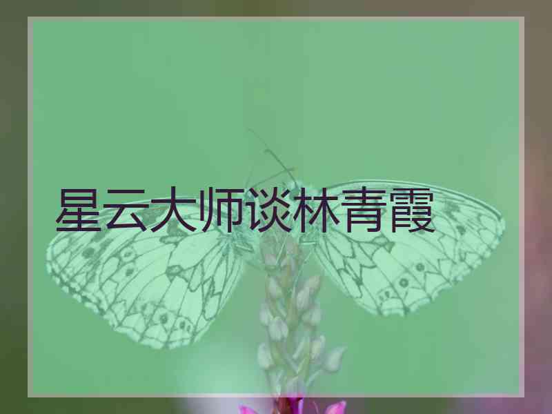 星云大师谈林青霞