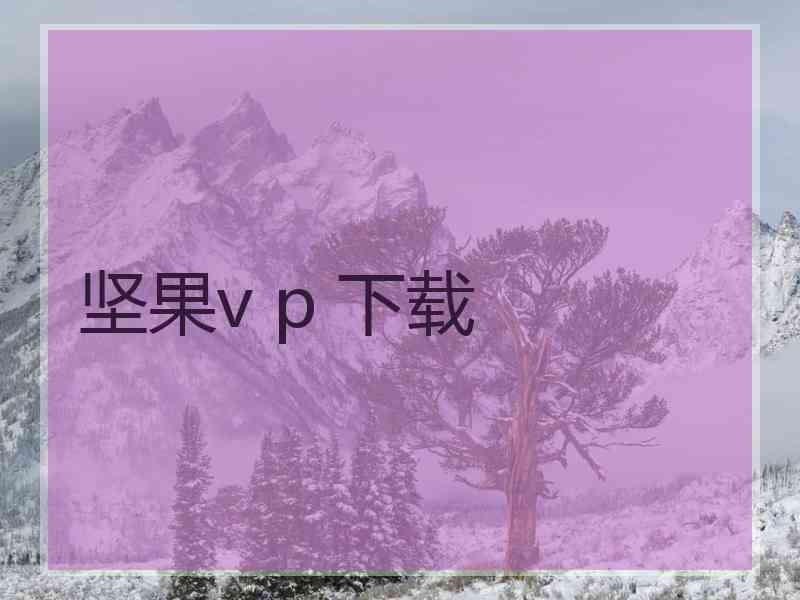 坚果v p 下载