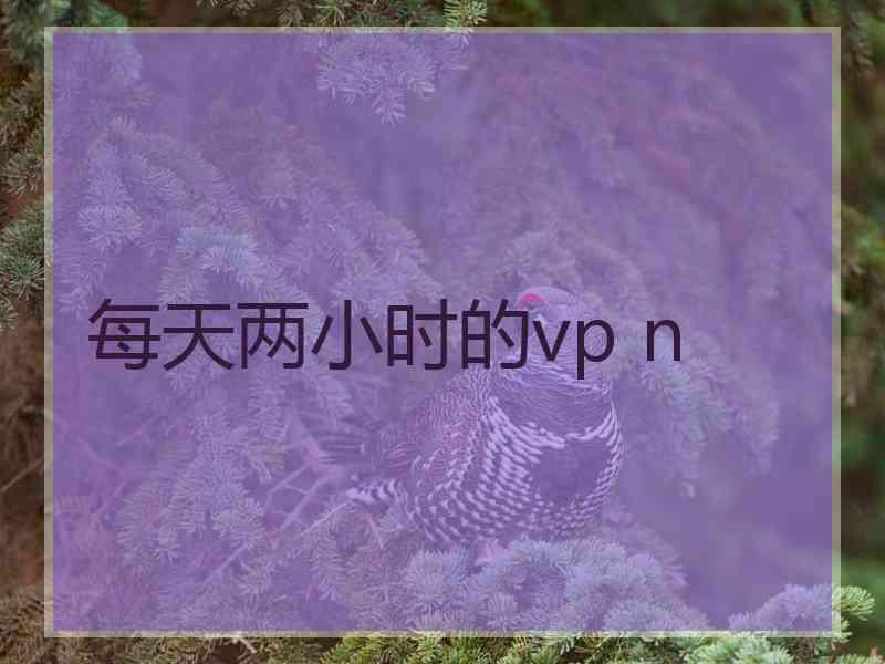 每天两小时的vp n